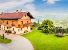 Panorama Chalet mit Sauna Höllmaishof โรงแรมในบิชชอฟส์โฮเฟน