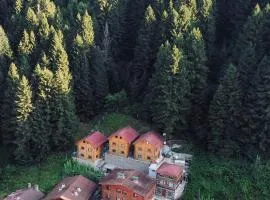 İnka Dağ Evi