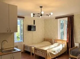Evergreen Surami Hotel