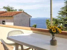 Bougainvillea Primo Piano - Goelba