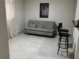 Apartamento aconchegante aeroporto