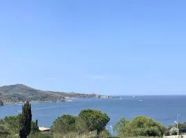 Appartement rénové T2 à Banyuls, climatisé, terrasse, parking, proche crique et thalasso - FR-1-309-235