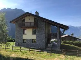 Le Bouvier