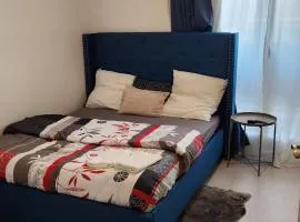 Chambre meublée cuisine à 20 minutes de Disneyland