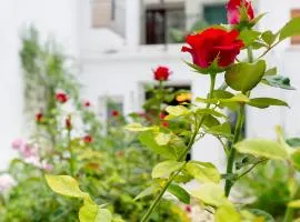 Casas De Les Roses