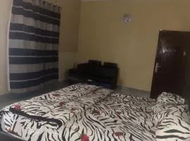 Avina specious room