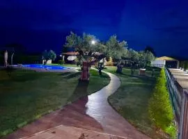 Giardino tra gli ulivi
