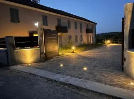 Vin dell'Olmo