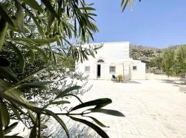 Villa degli Ulivi - Affitti Brevi Italia