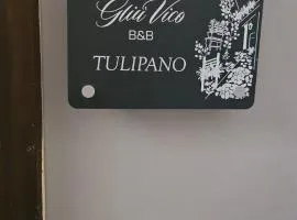 Gliù Vico