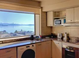 Skyview 440