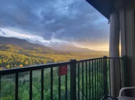 Eagles View, Luxury living Amazing Mtn Views! indoor pool & spa