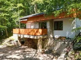 Wellness chata Chalet de Glatz