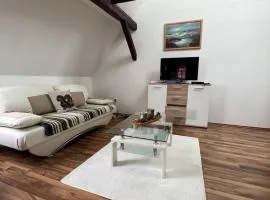 Apartment in Elbingerode near Lake & Waterfall
