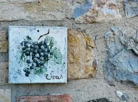 Uva - Poderone