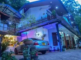 New Blue Home