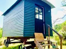 The Little Green Shepherds Hut
