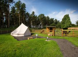 Tent 1, luxury tent in Cornhill-on-tweed