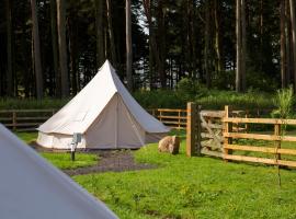 Tent 3, luxury tent in Cornhill-on-tweed