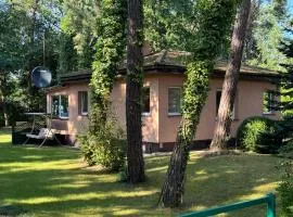 Letni domek na wydmie