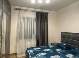 4cosy apartment with view Ararat