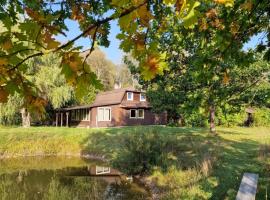 Sauna House in the forest, hotel in Druzhili