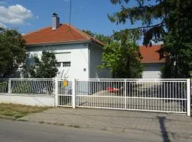 Nikiva I
