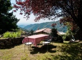DOMAINE DU VERNADEL