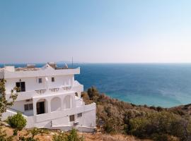 Andros Seaview Hotel, hotel v destinaci Batsi