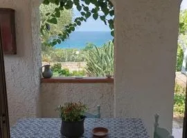 La casita