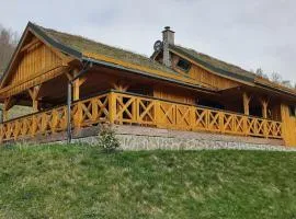 Pod Zielonym Dachem