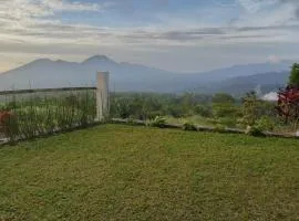 Hollywood Hill Lengkoan