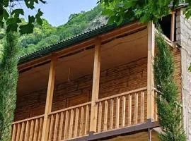 Forest Guest House