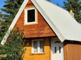 Forest Cabin 3