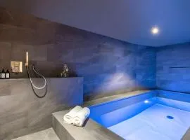Luxueux duplex accès direct aux pistes avec piscine privée