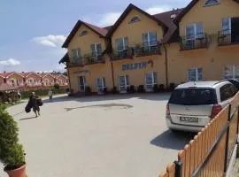 Delfin -przy plaży, widok na morze