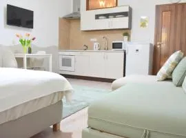 Prague City Centre Apartment