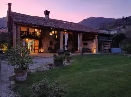 IL CASALE DEL VINO