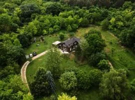 Cosy Forest House