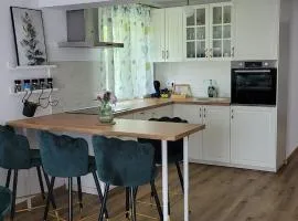 Odiseea Apartment