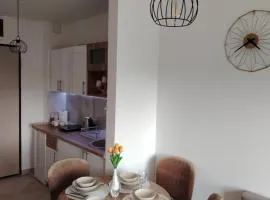 Apartman Pavlović Divčibare