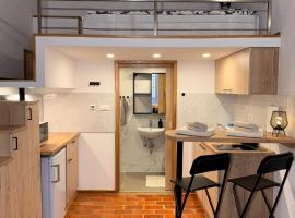 Zenroom Apartments, self catering accommodation in Ljubljana