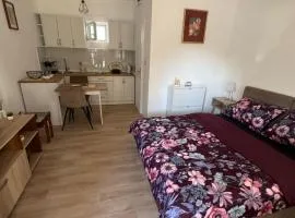 Apartman Milinkovic