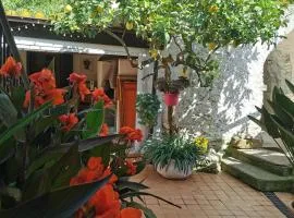 "Lemon Tree House" with garage for MTB