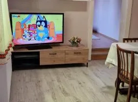 Casa David