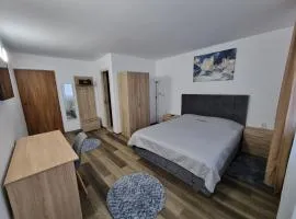 Vila Roxana Busteni
