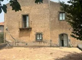 La vigna di Maggi