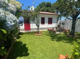 La Casa delle Ortensie Guest House