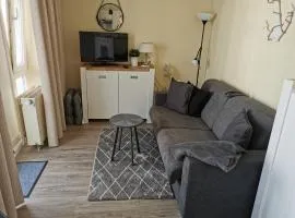 Seepark Sellin Apt. 351