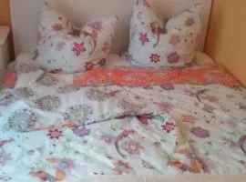 Ferienwohnung im Kapitänsgarten in Prerow